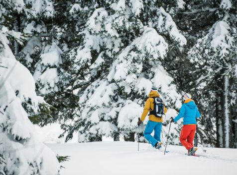 Winterwandern im Stubaital, Schneeschuh-Wandern Stubaital,